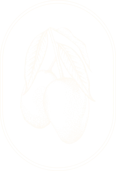 mango logo